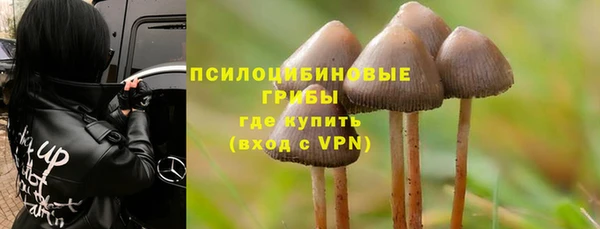 скорость Богородицк