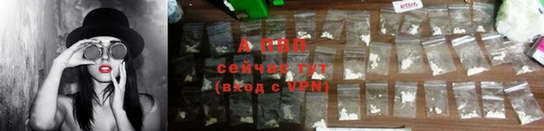 амф Верхний Тагил