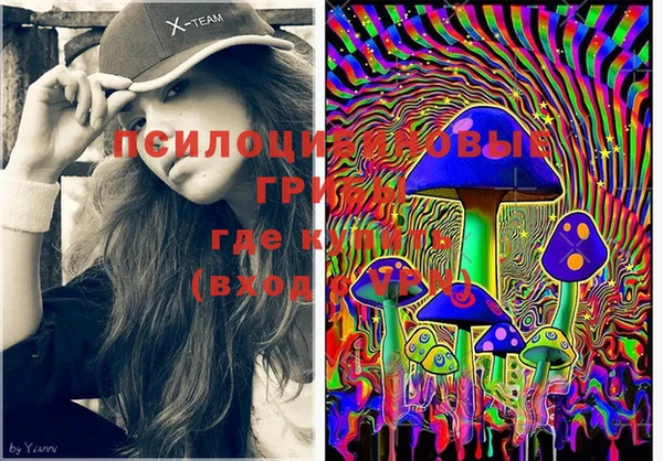 MDMA Бородино