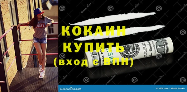 амф Верхний Тагил