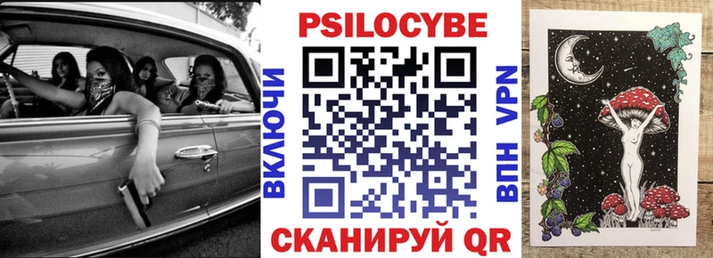 купить Новоржев Псилоцибиновые грибы MAGIC MUSHROOMS