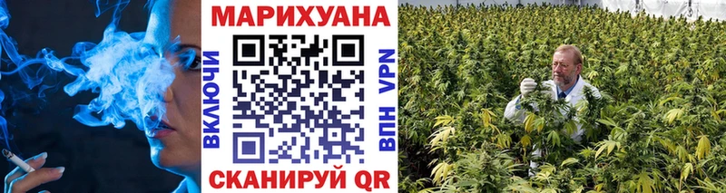 Каннабис семена Новоржев